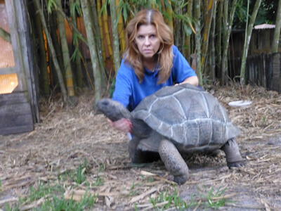 Rosie-22-inch-Female-Aldabra-1.jpg