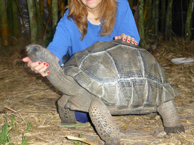 Rosie-22-inch-Female-Aldabra-2.jpg