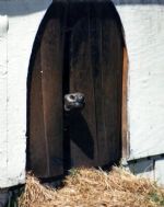 IMG: