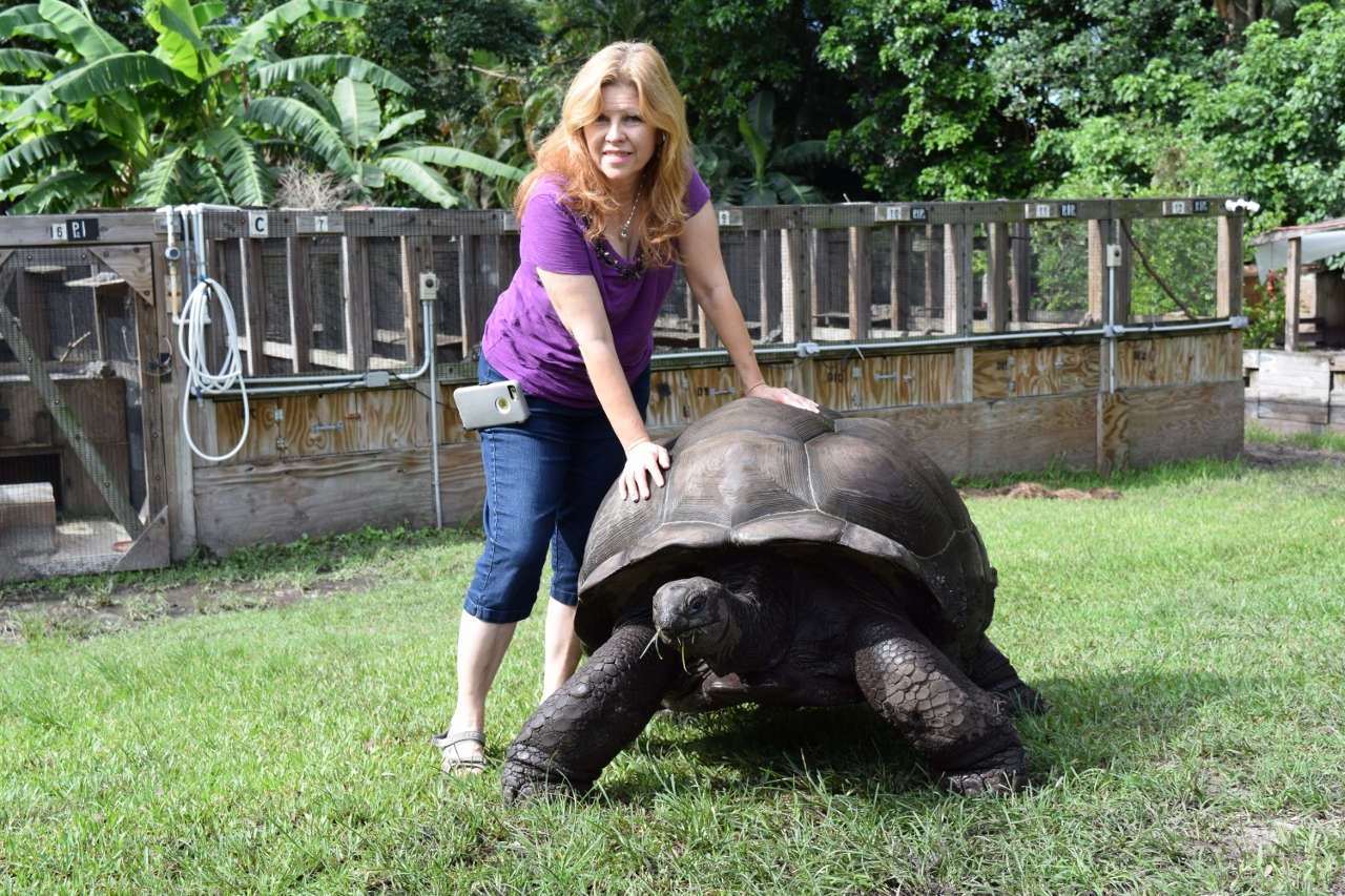 Laura-and-Lumpy-large-Male-Aldabra-Tortoise.jpg