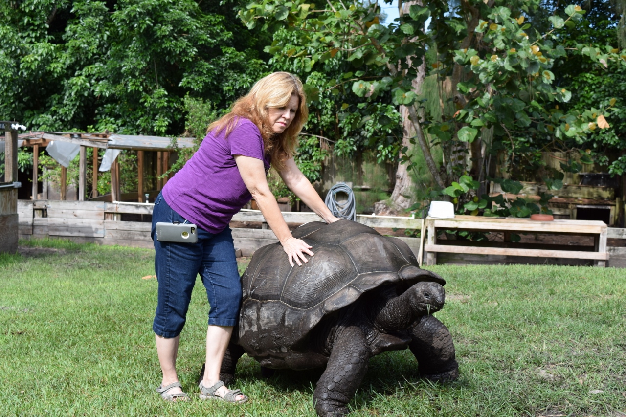 Laura-standing-next-to-and-Lumpy-large-Male-Aldabra-Tortoise.jpg