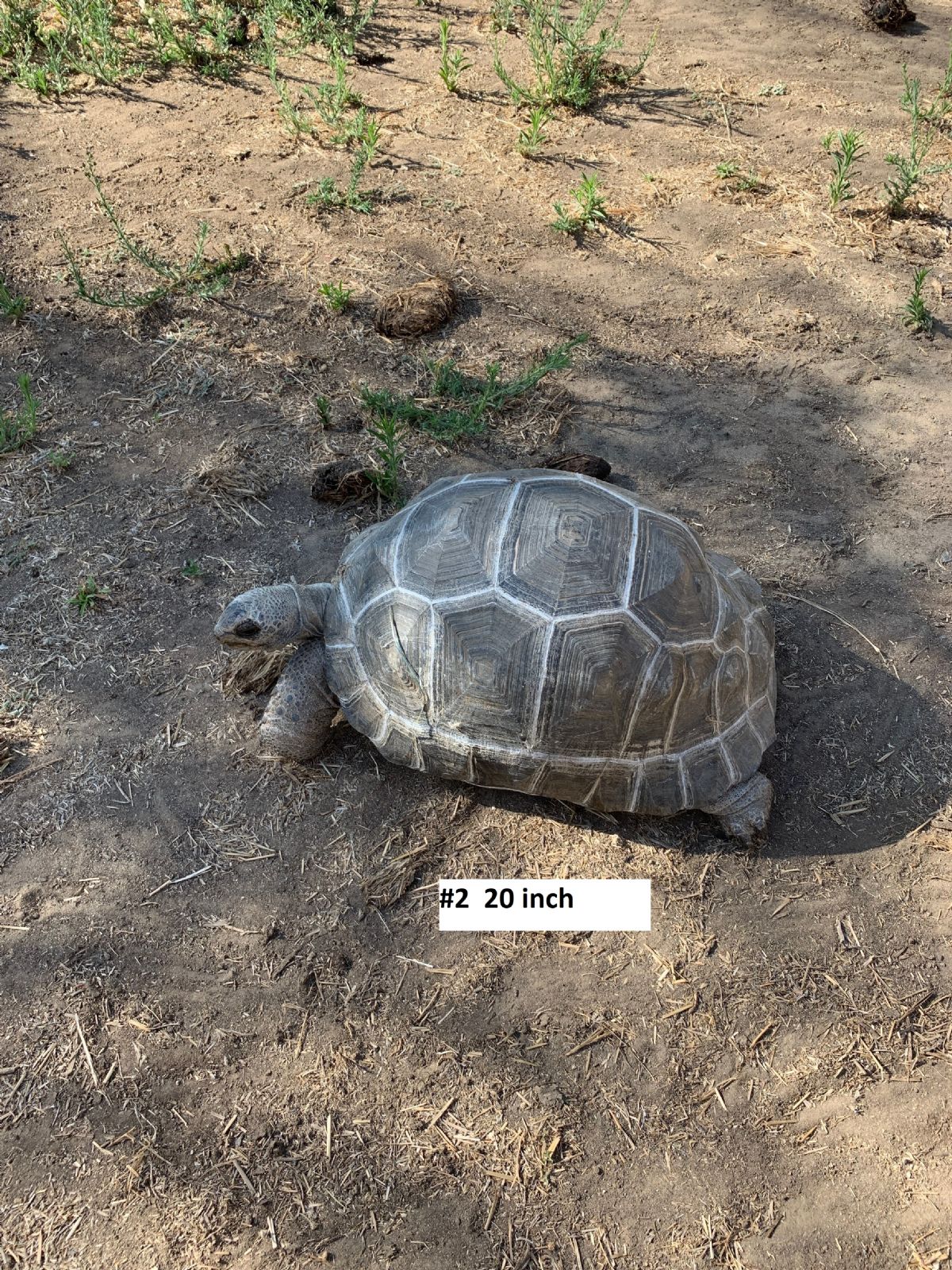 3Group220inch.jpg