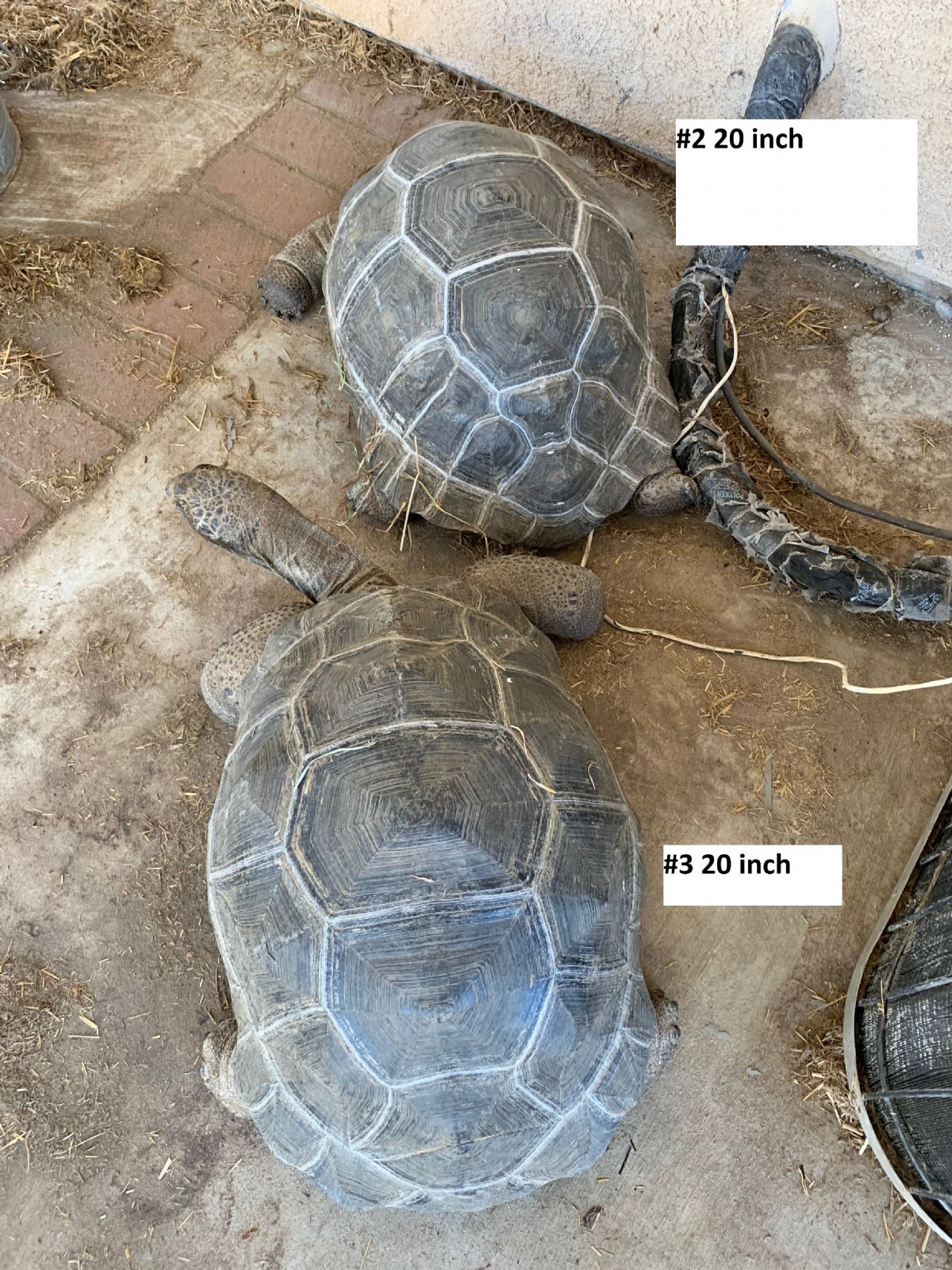 3Group2and3.jpg