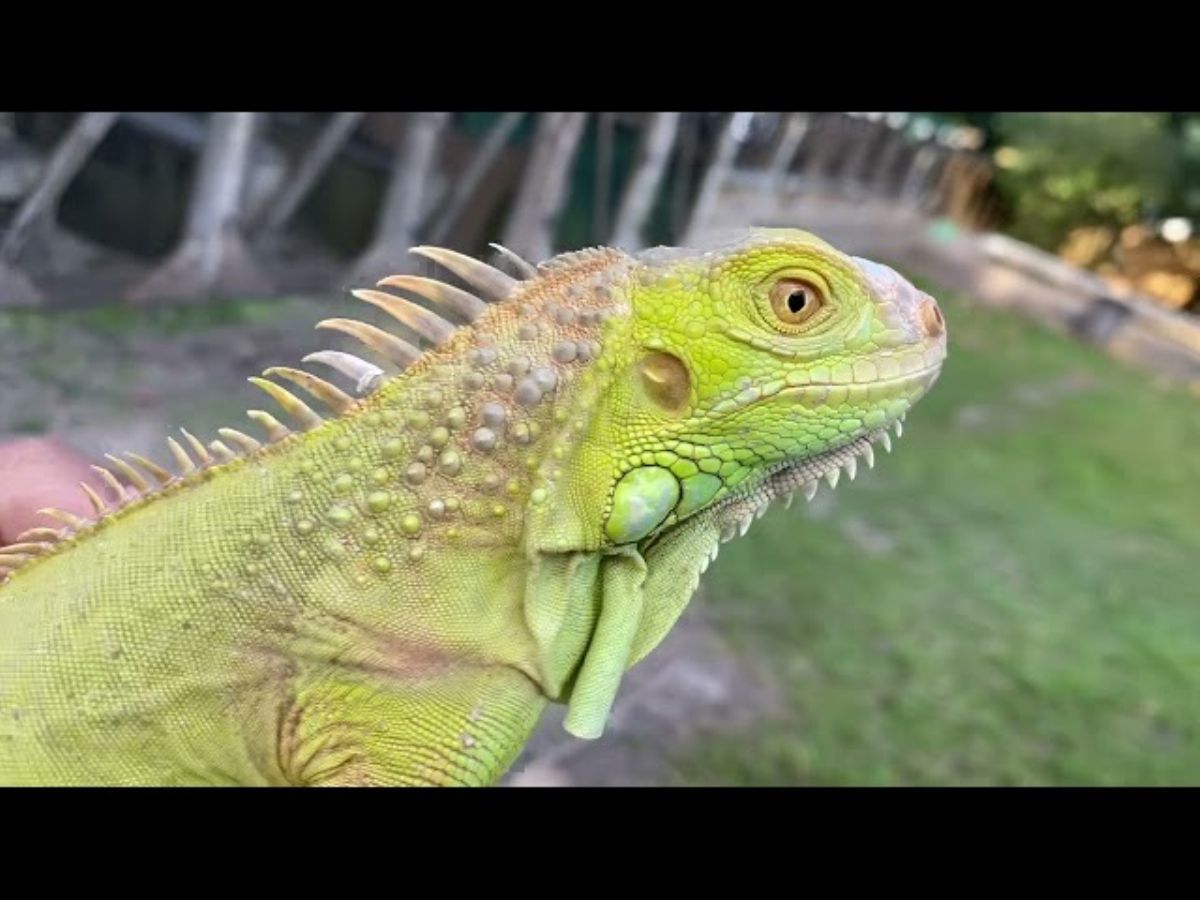 12034/screen/2E126BD5-8F0D-48DA-8534-FCA61269520D.jpeg