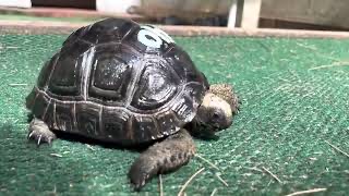 12259/10AC8ECC-093A-42E0-A72E-21E9D25EBBF6.jpeg