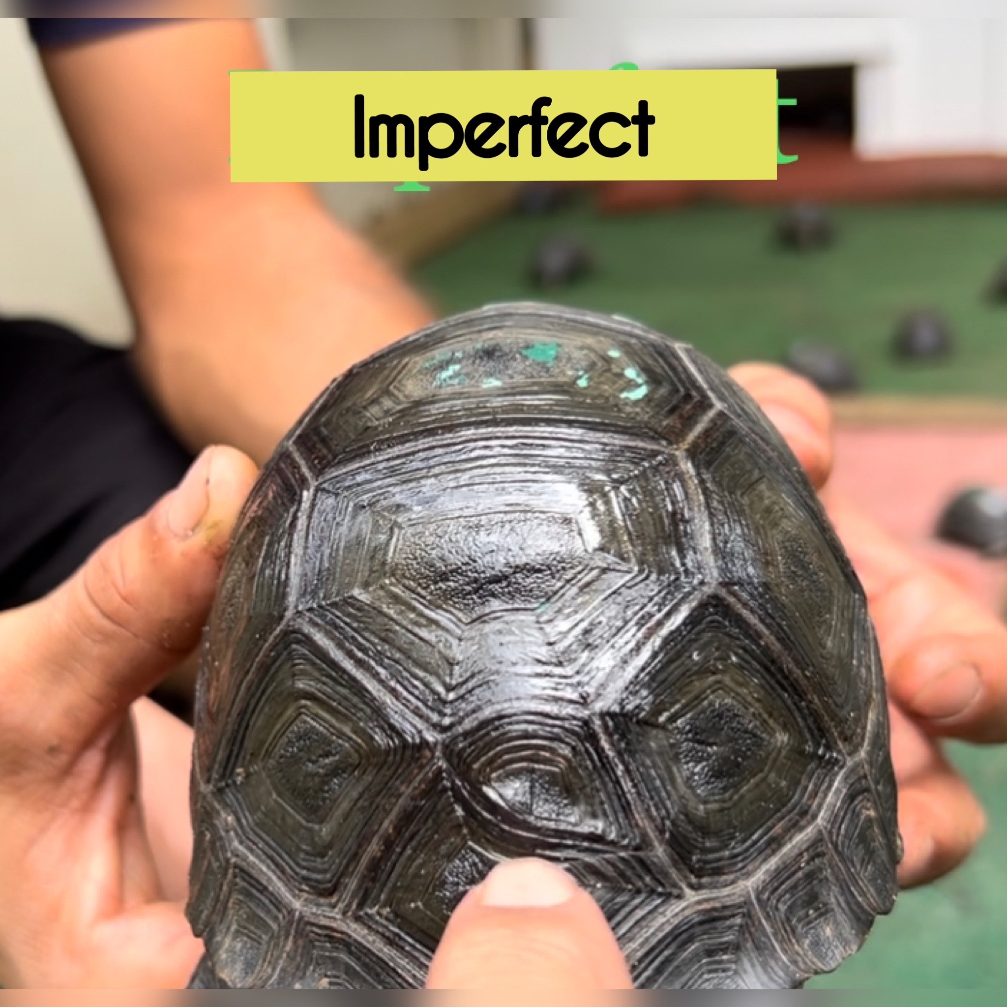 12569/imperfectphoto-output.JPG