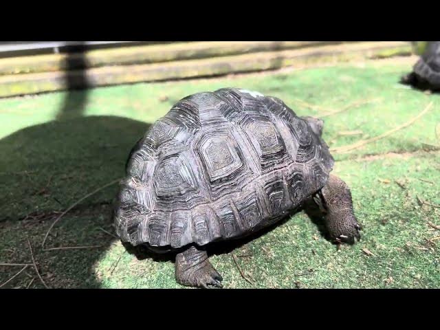 12613/IMG_0988.jpeg