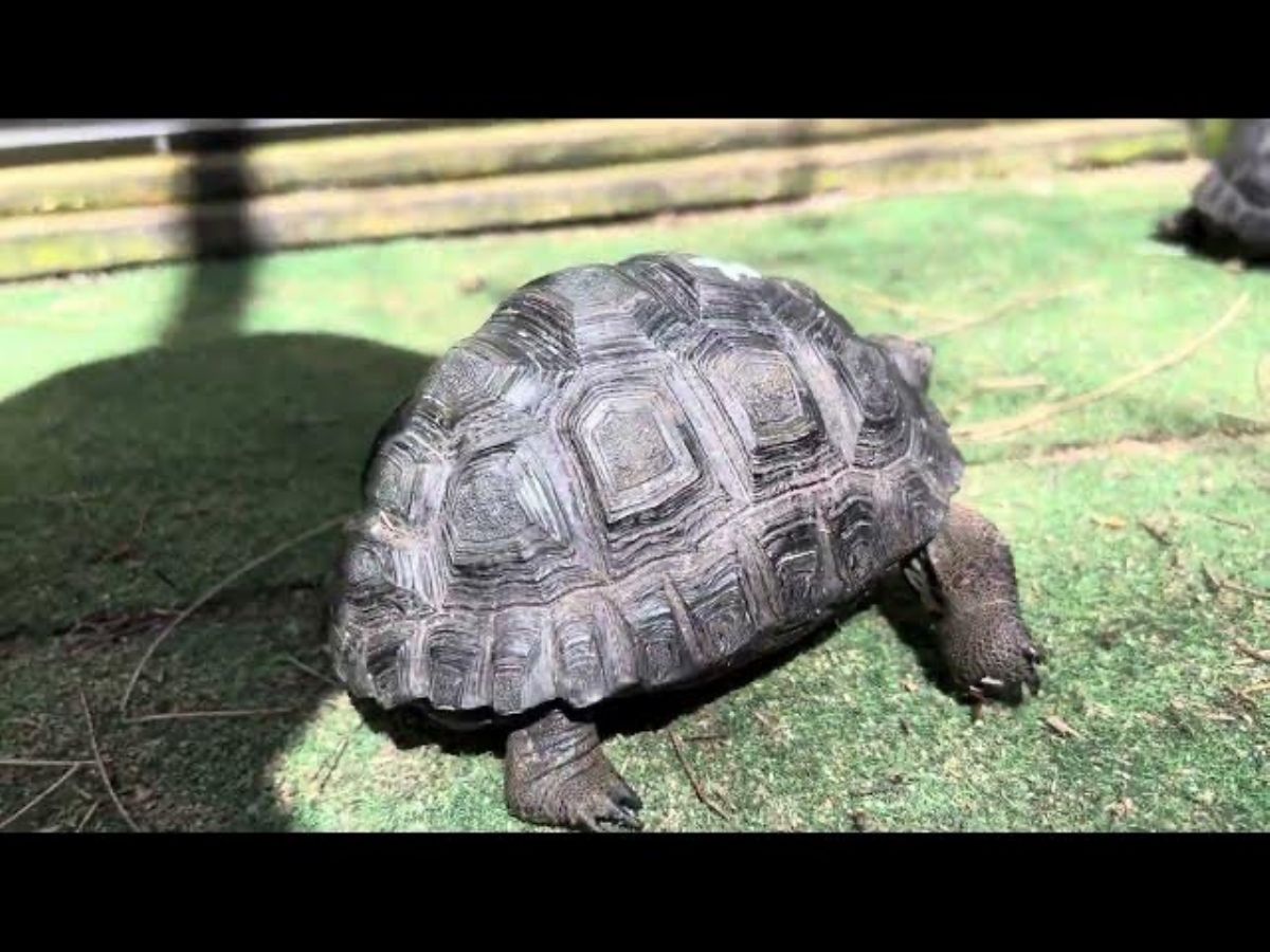 12613/screen/IMG_0988.jpeg