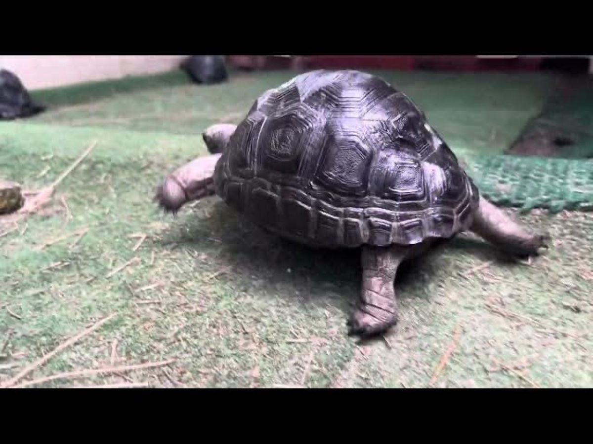 12631/screen/IMG_0978.jpeg