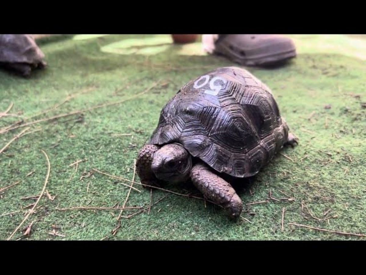 12653/screen/IMG_0991.jpeg
