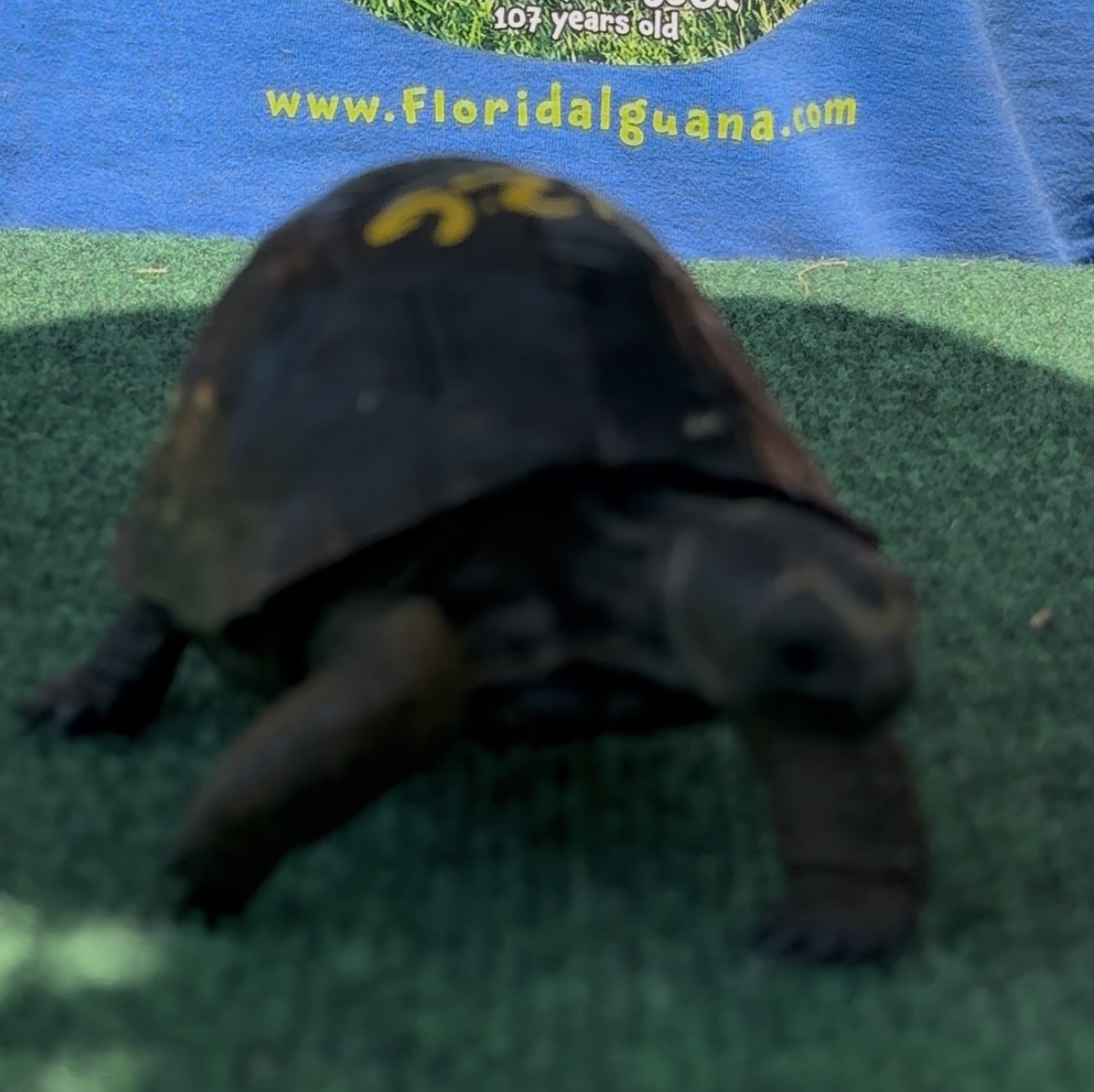 13649/126.jpg