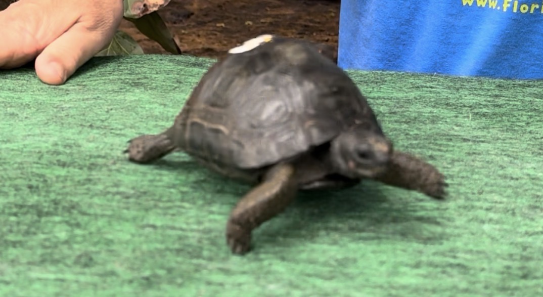 13728/4491.jpg