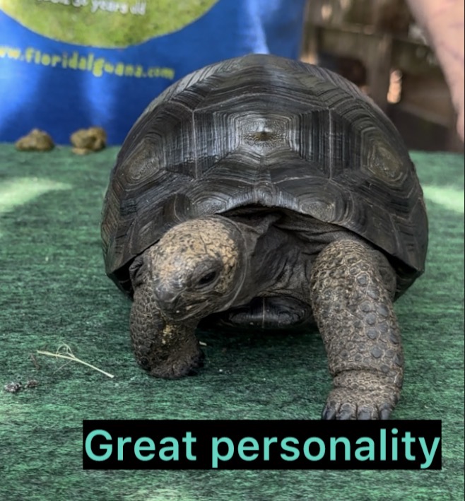 13748/4358.jpg