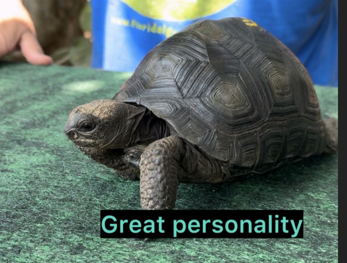 4692A.jpg