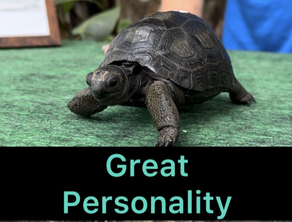 13752/screen/4720.jpg