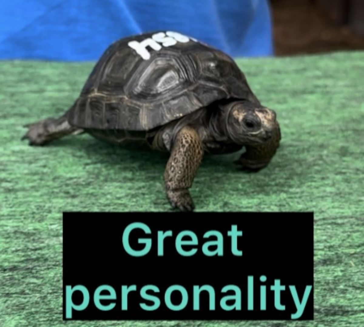 13753/screen/4854.jpg