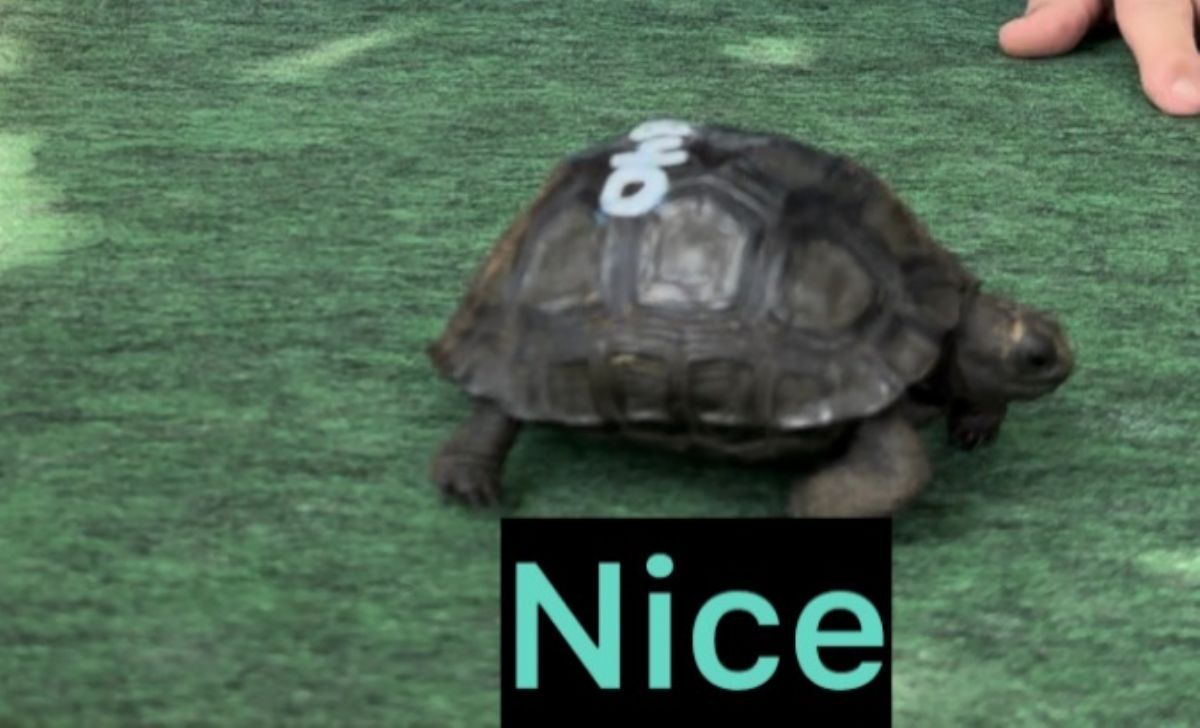 13754/screen/6840A.jpg