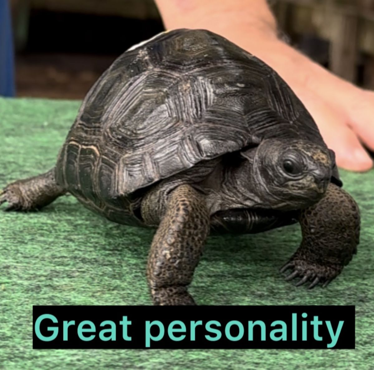 4419B.jpg