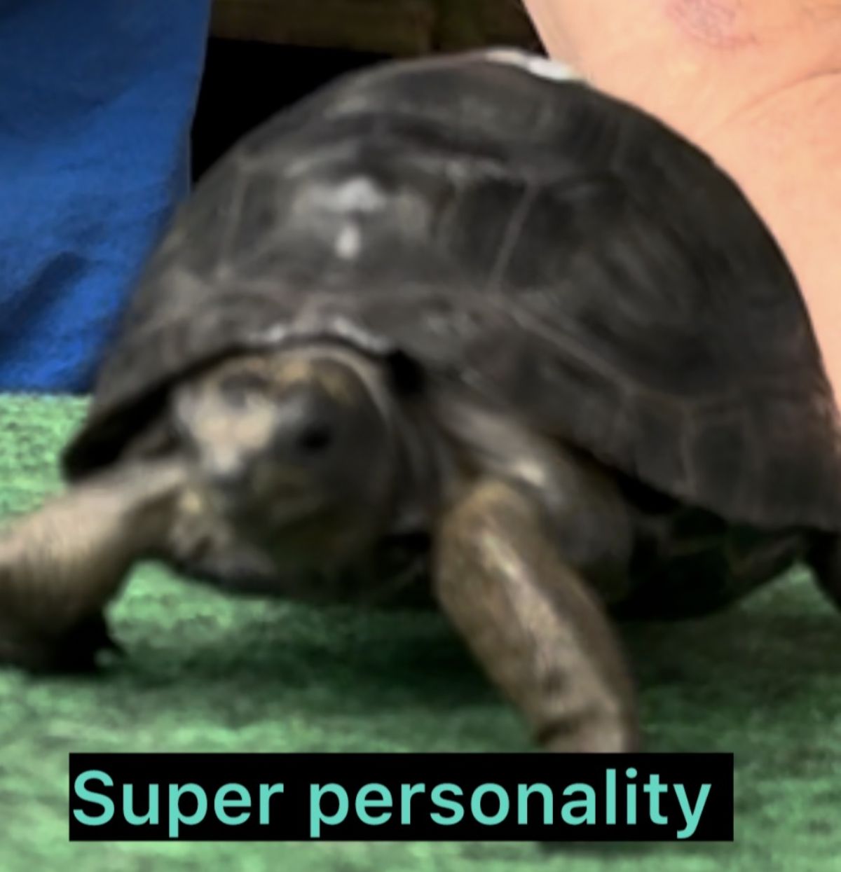 5925B.jpg