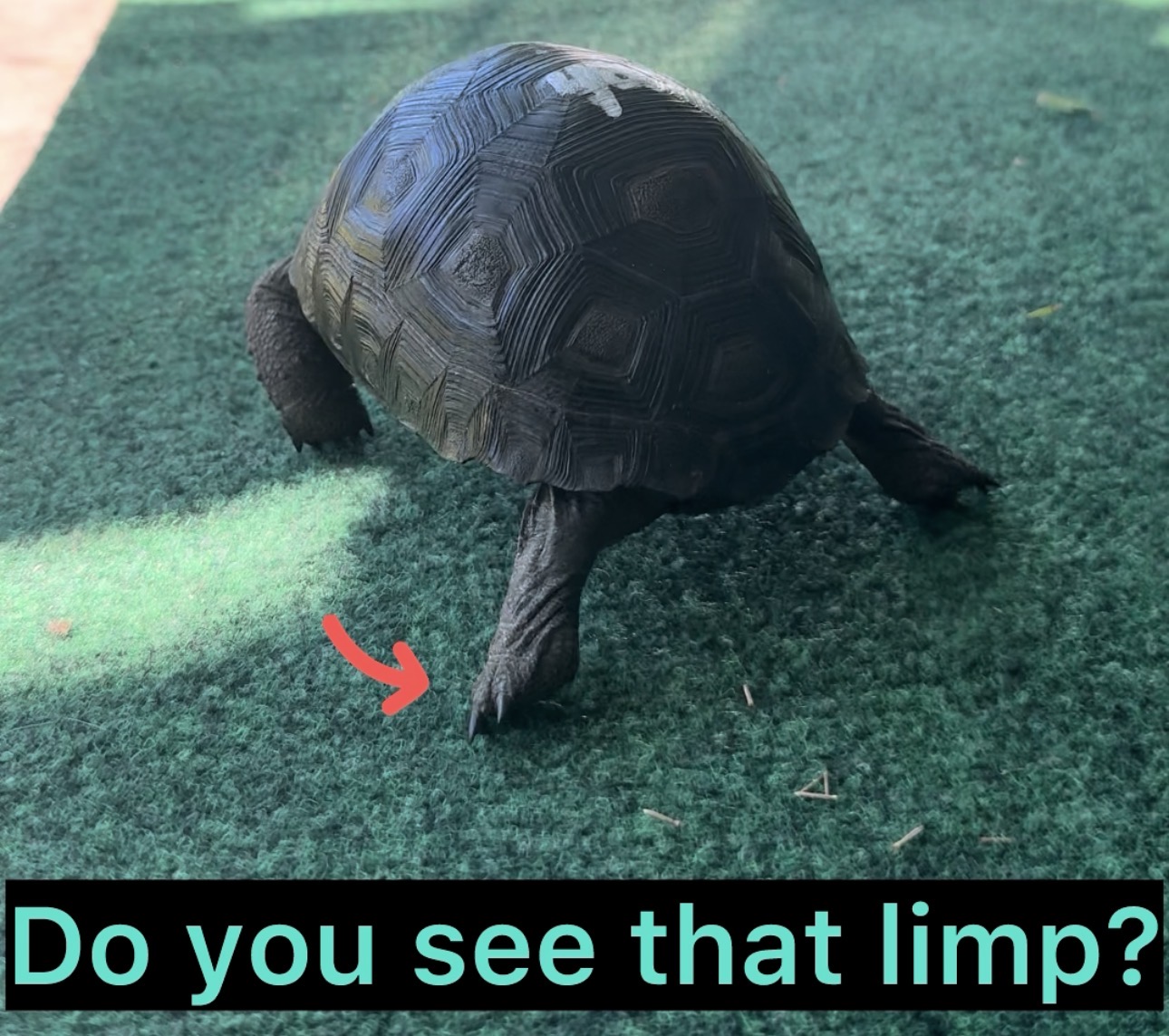 13764/4682B.jpg